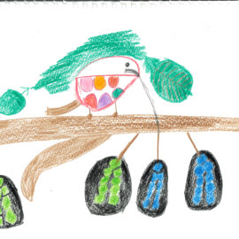 9_ぶどうとマスカットとオオマシコ鳥の模様替え